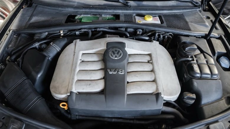 兩部VW Passat W8罕有同場現身